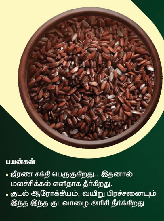 பால்குட வாழை அரிசி (Kudai Vazhai Rice)