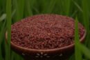 பூங்கார் அரிசி(Poongar rice) 1kg