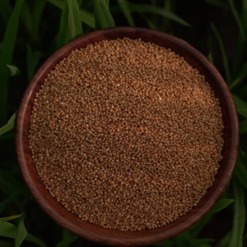 வரகு அரிசி (kodo millet)1kg