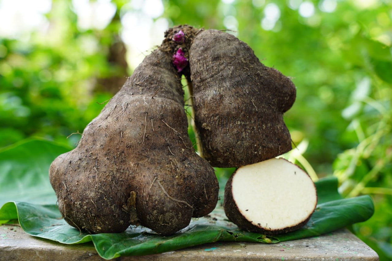 வெற்றிலை வள்ளி கிழங்கு (Yam)