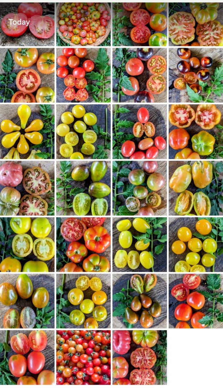 50 varieties combo - Image 3