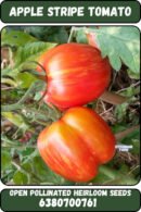 Apple stripe tomato