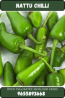 Nattu chilli